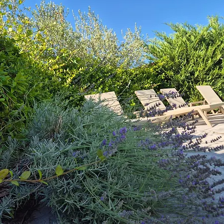 Jazz - Island Krk Oasis Vila Klanice